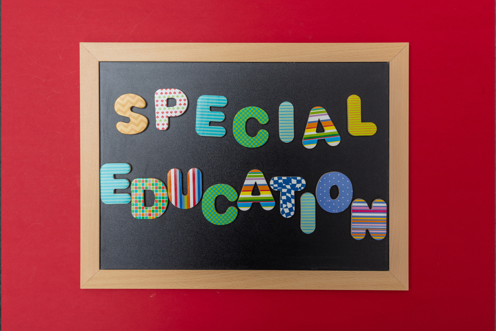 Special Education Graphic