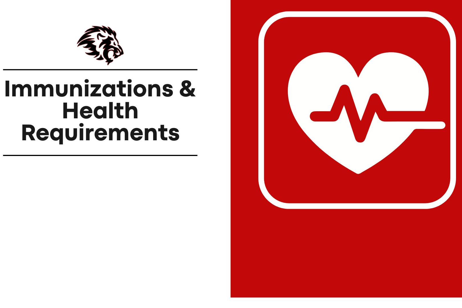 Immunizations Graphic