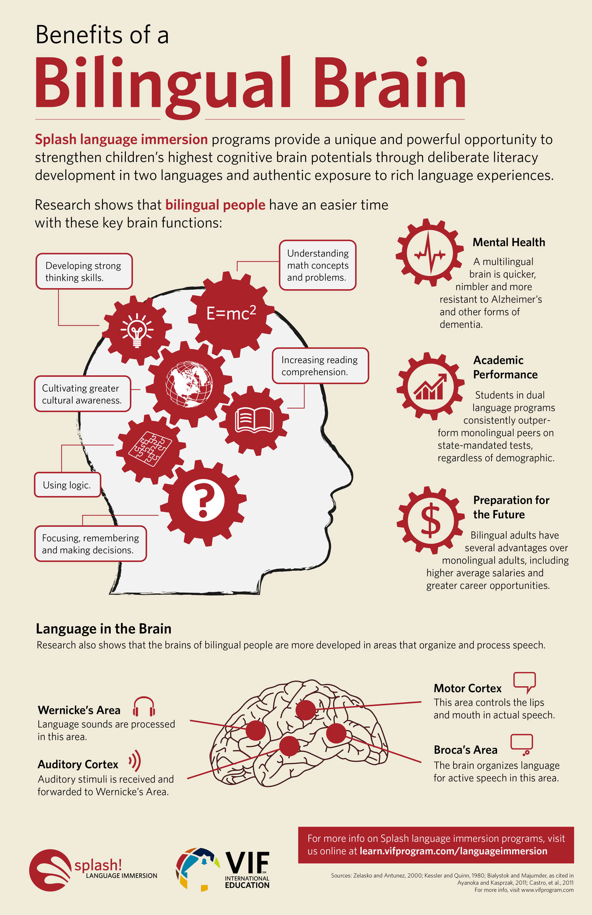 Bilingual Brain