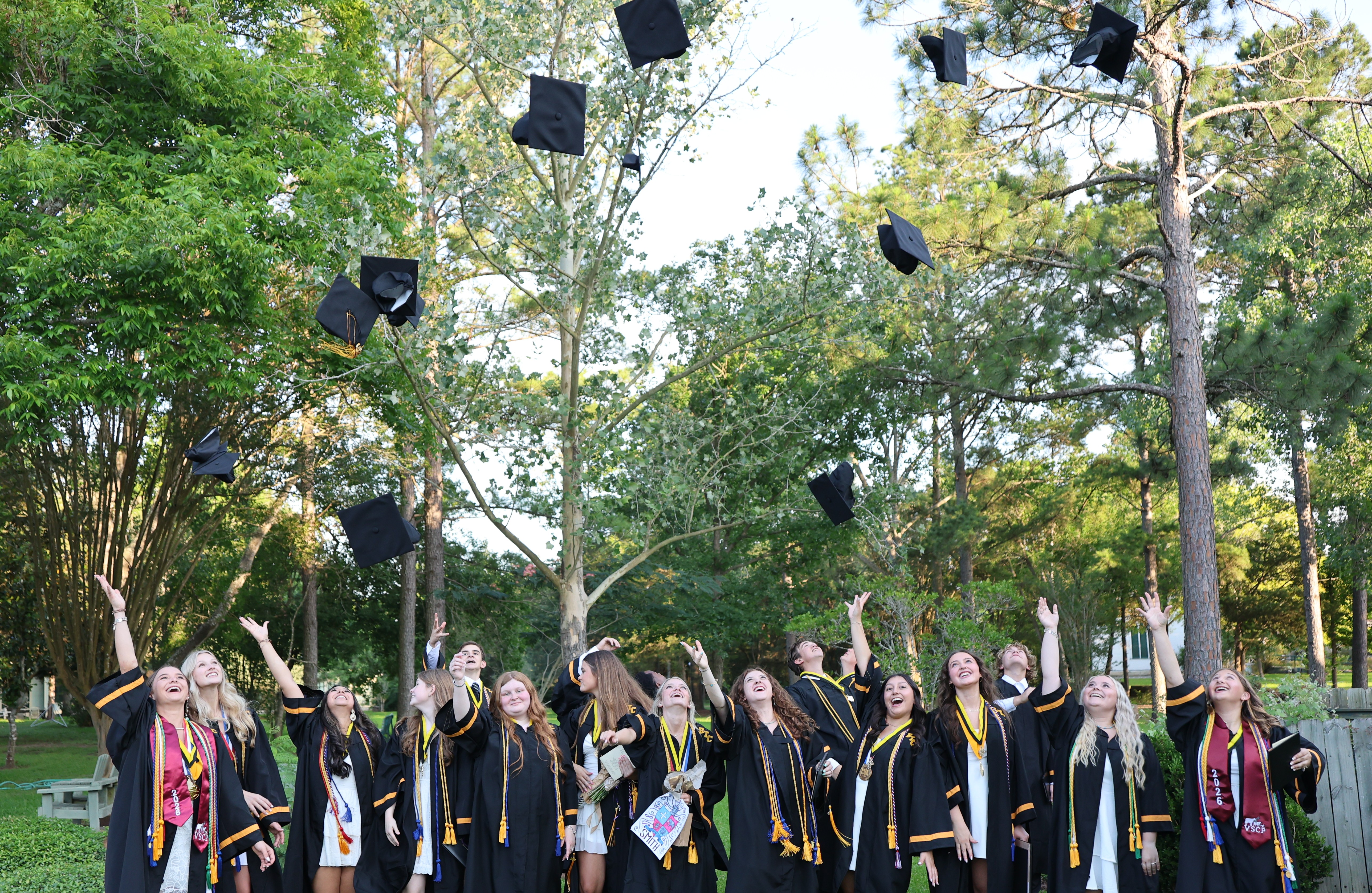 A group of graduates in black gowns celebrate outdoors by tossing their graduation caps high into the air against a background of lush green trees.
