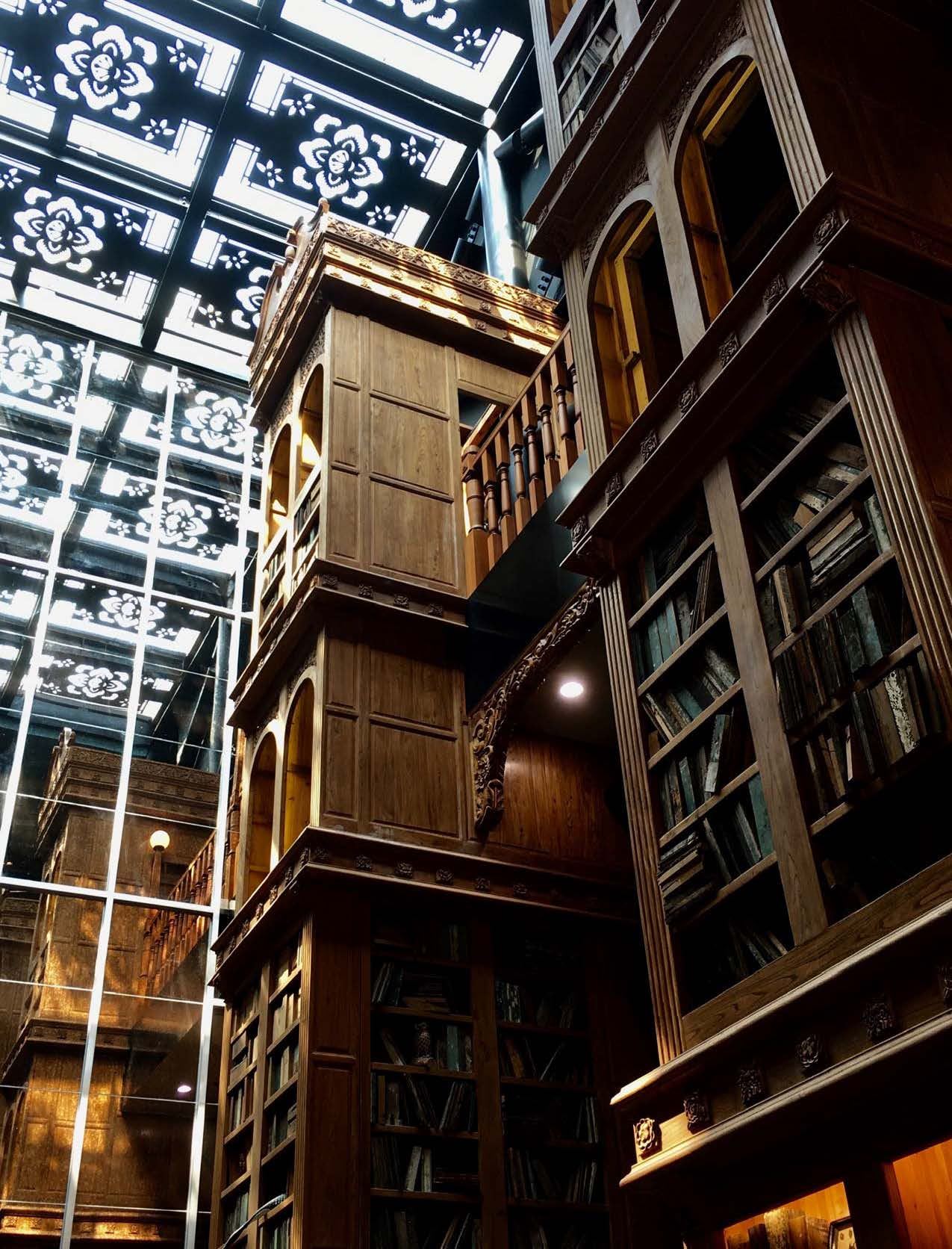 library picture