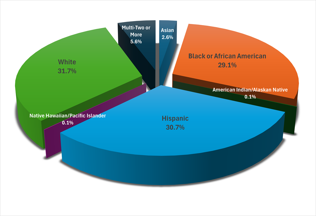 student demographic breakdown image