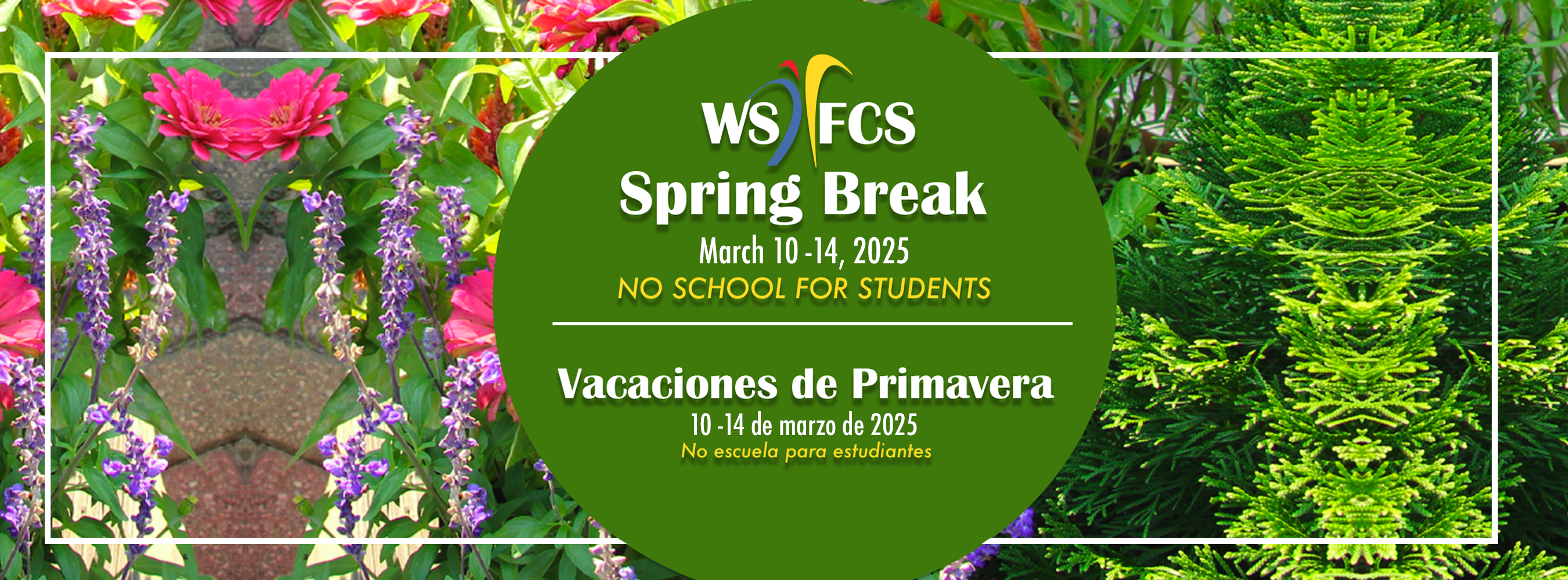 spring break banner