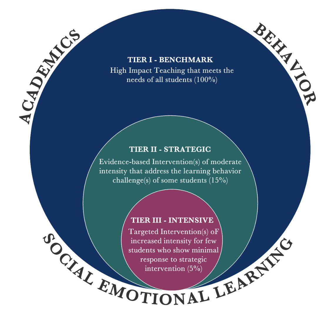 MTSS Diagram