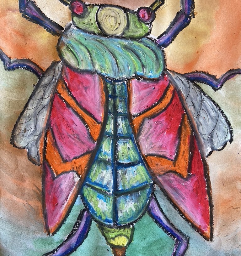 Beetle drawing