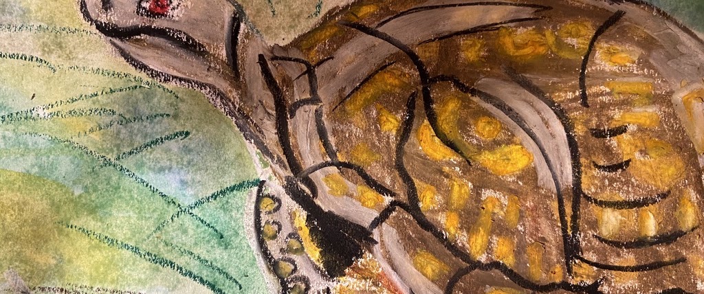 Turtle drawing