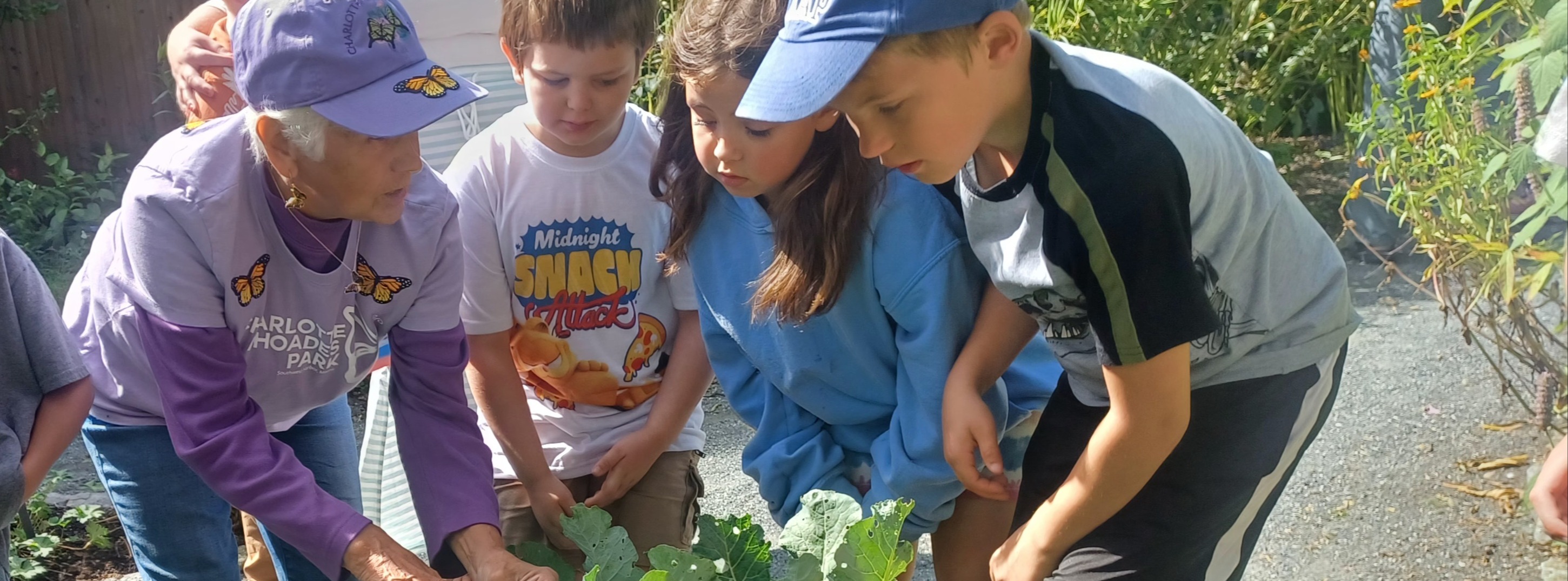 Field trip to the butterfly gardens