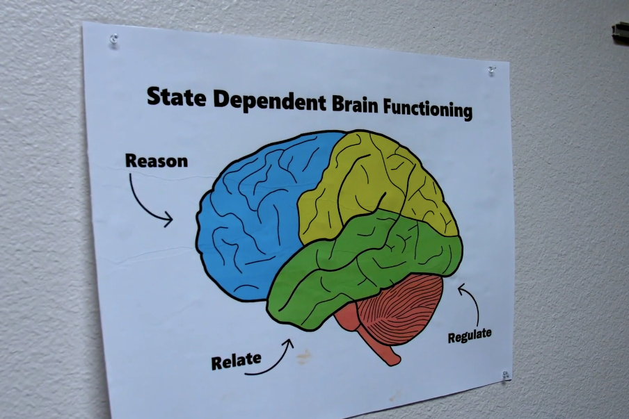 Image of brain-State dependent brain functioning - Reason, Relate, Regulate