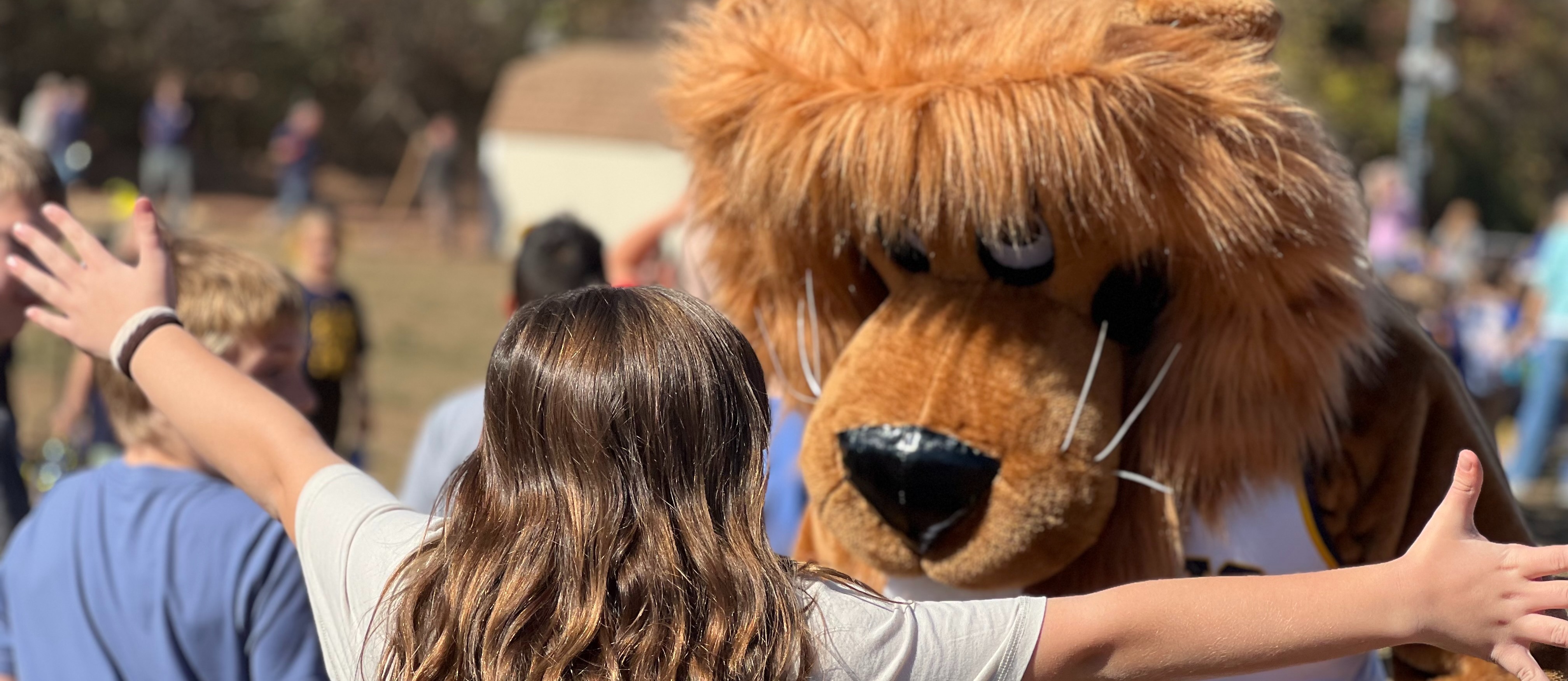 Lion mascot hug