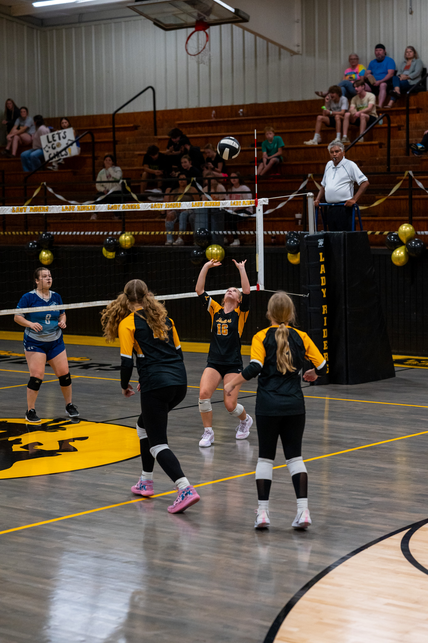 volleyball image