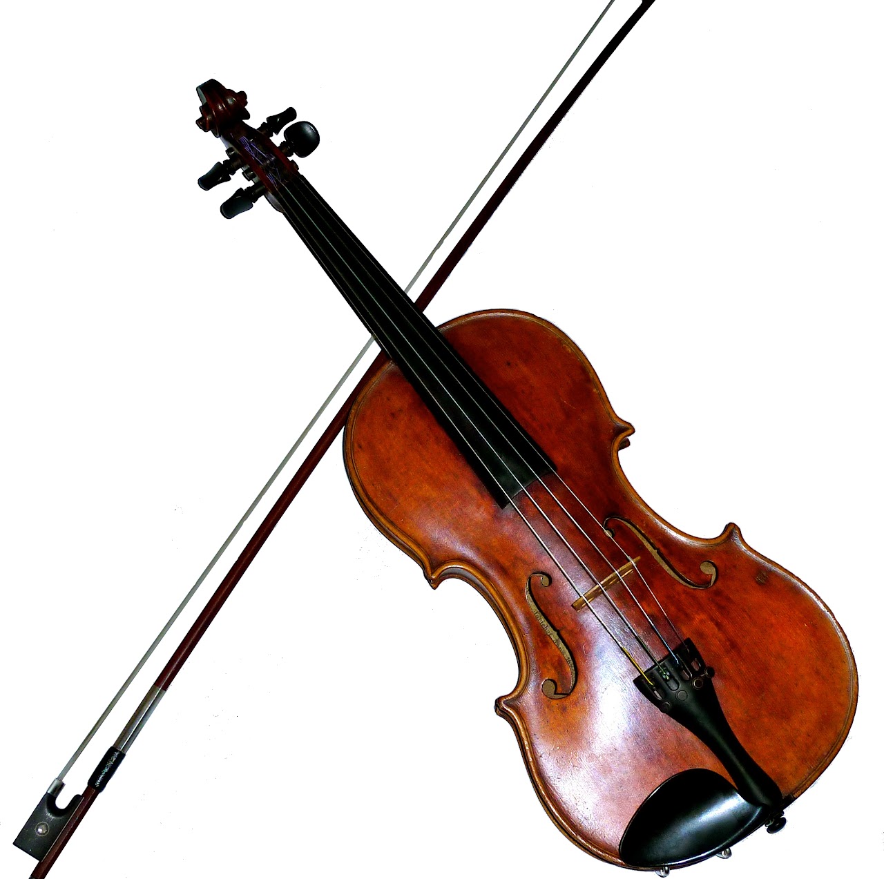violin 