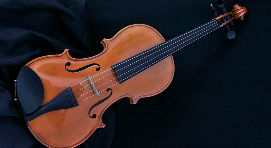 viola
