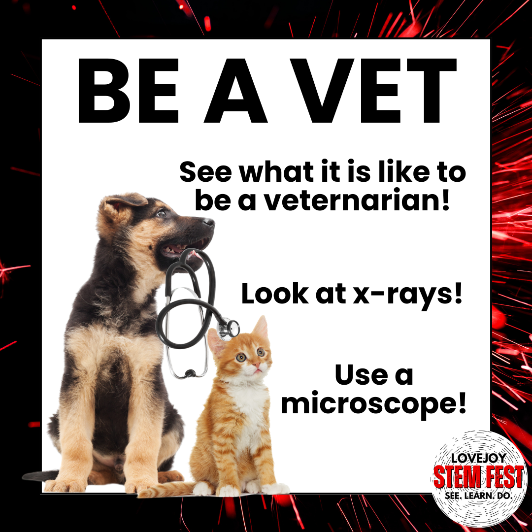 be a vet