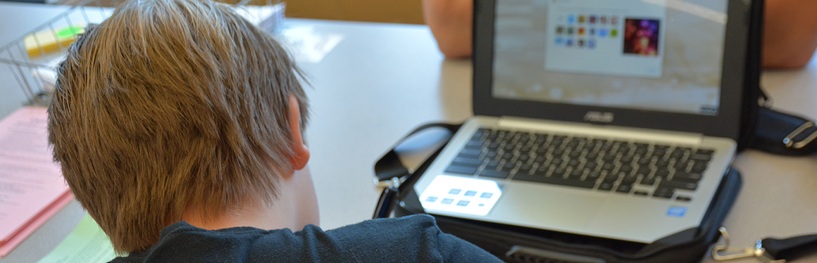 Picture of student working on a computer.