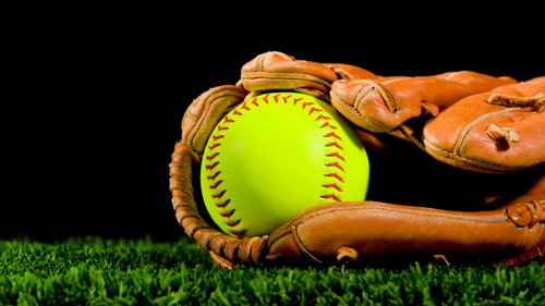 Softball equipment