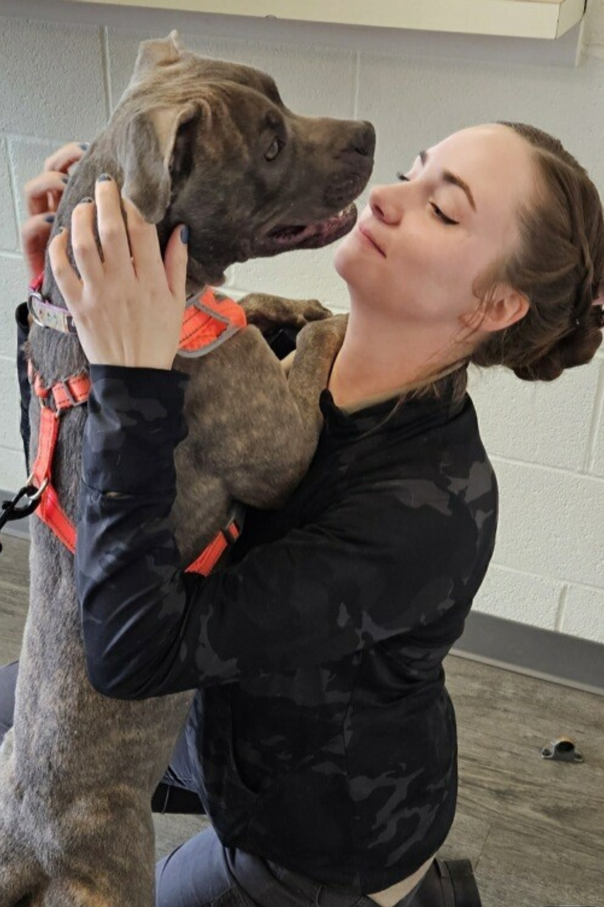 a dog and a woman play together