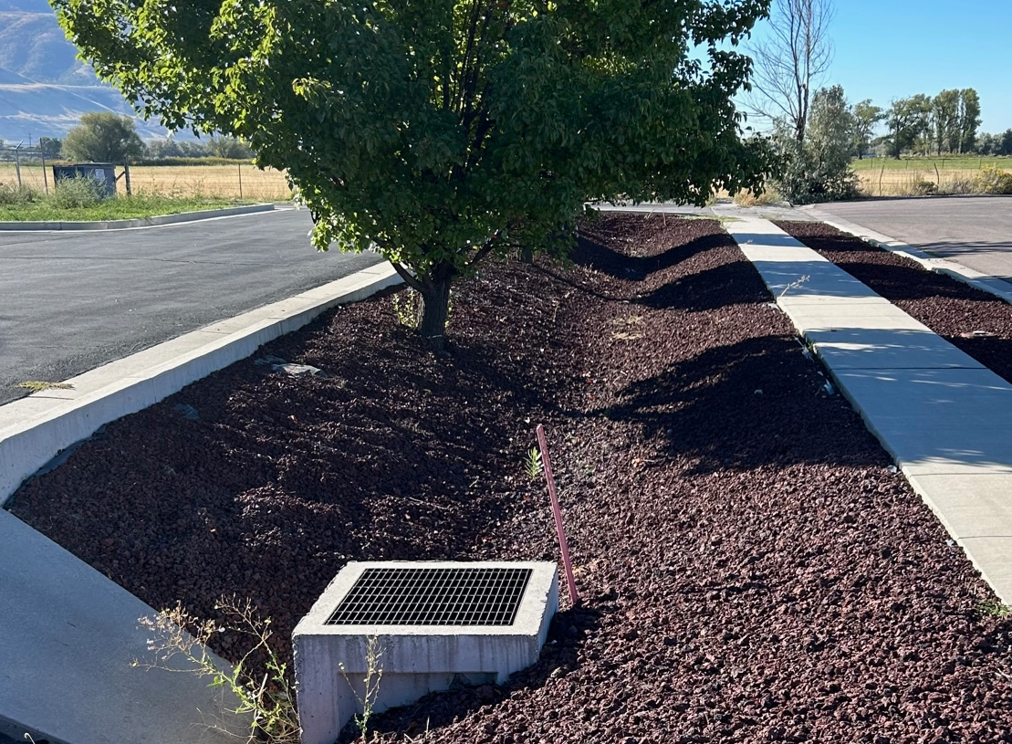 Picture of Strom Water detention basin with tree and gravel with storm water grate