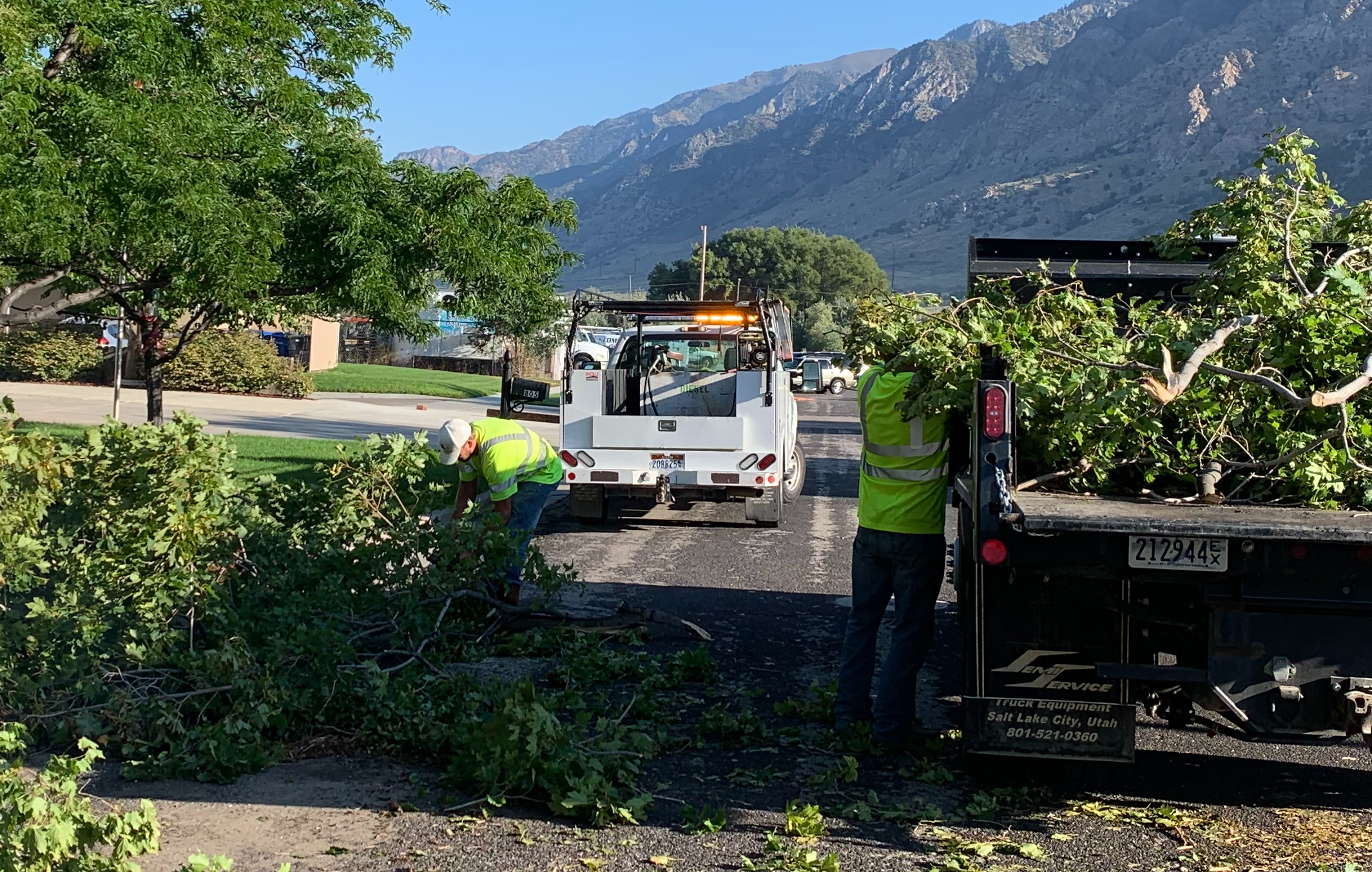 City Employees cleaning up tree limbs that are on the side of the street throwing in back of work truck