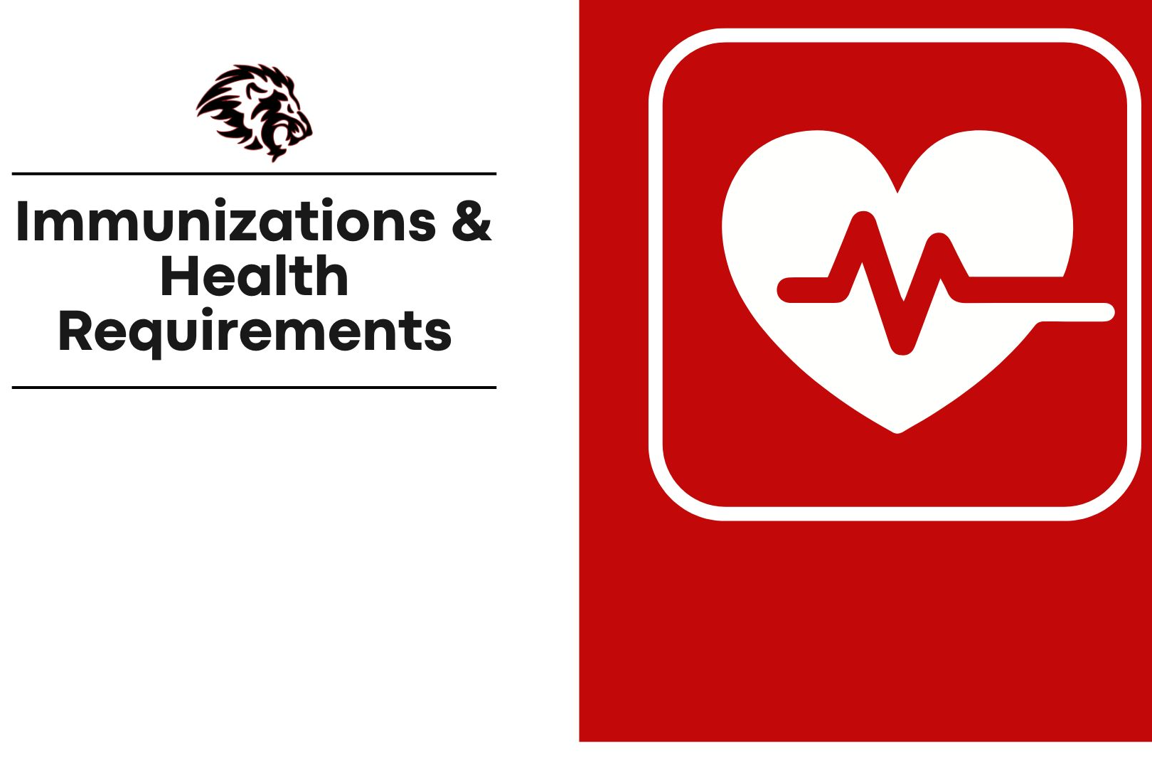 Immunizations Graphic