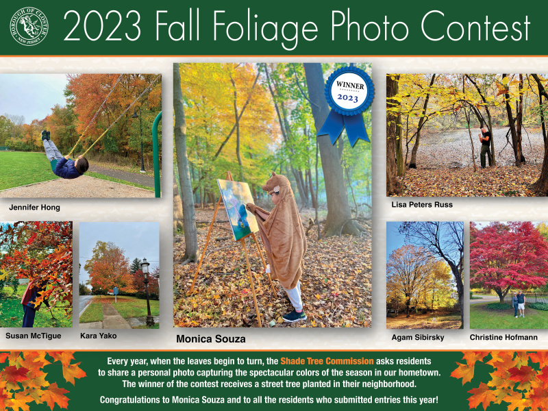 2023 Fall Foliage Photo Contest