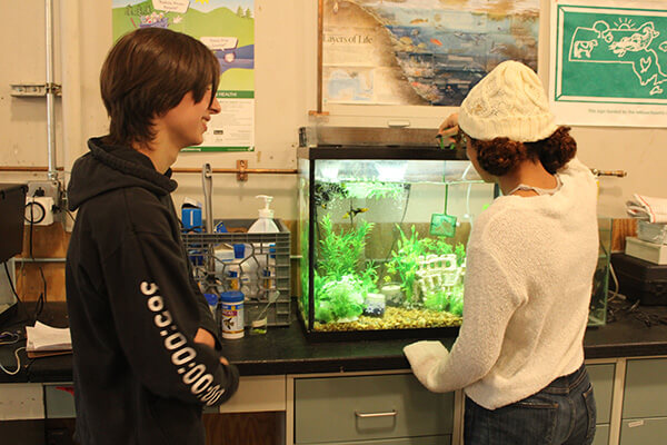 Students in Environmental Science program