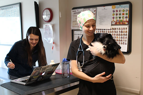 Students in Veterinary Assisting Program