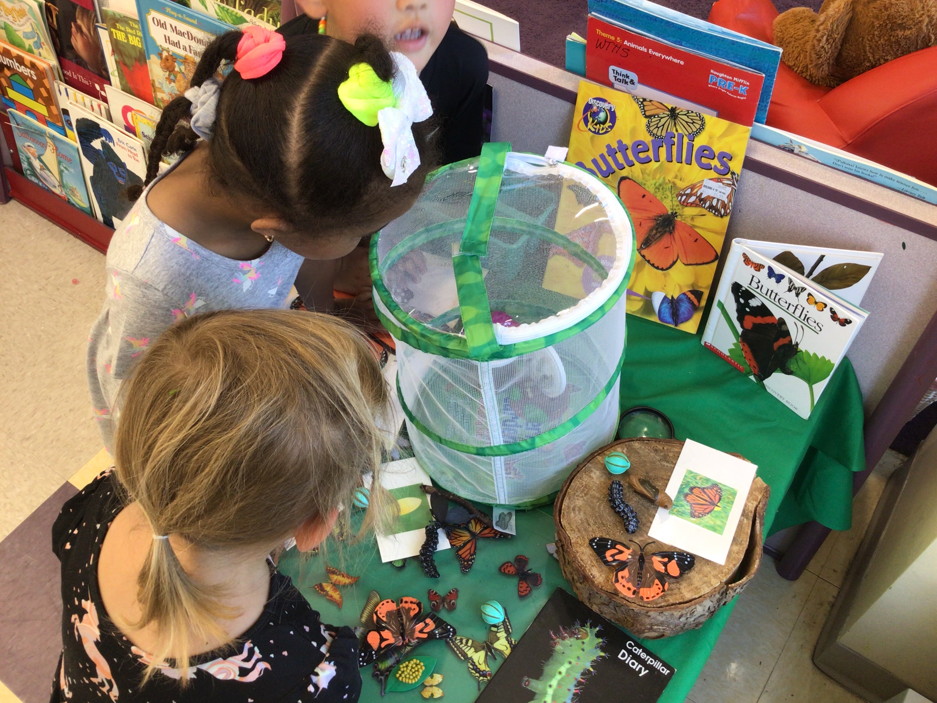 children looking into butterfly habitat cage