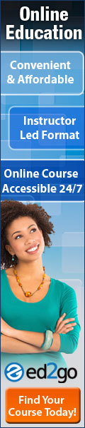 Online Education Flyer