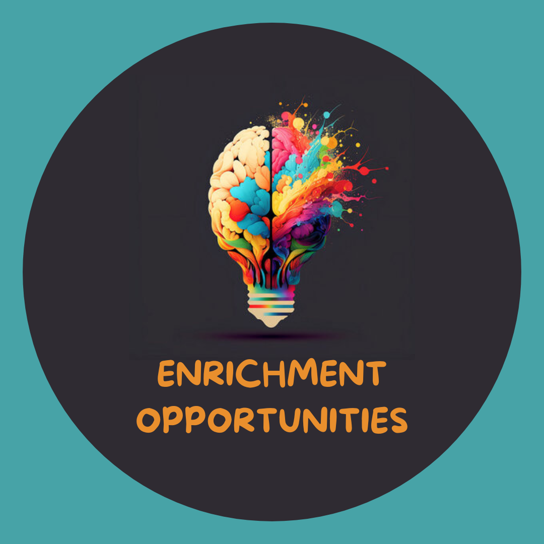 Enrichment Opportunities