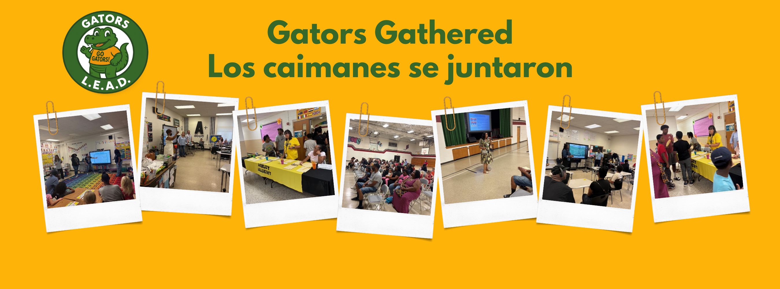 curriculum night