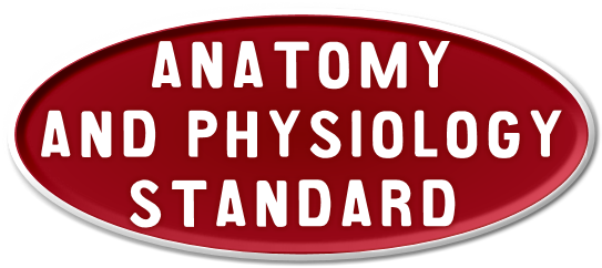 Anatomy & Physiology - Standard logo
