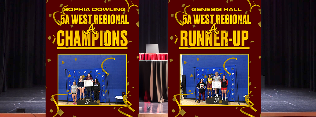 Wrestling Banner Photo