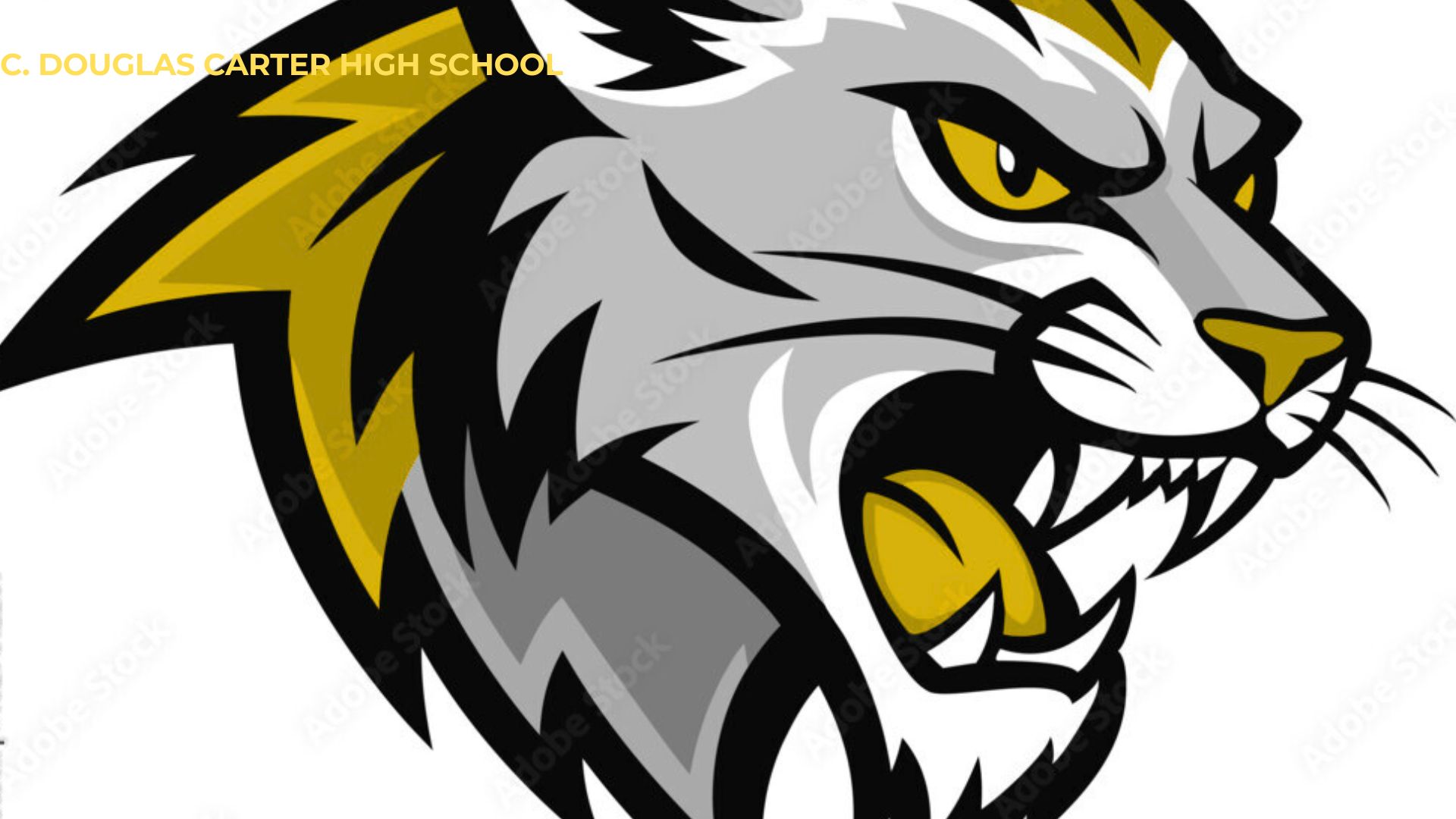 CHS