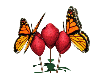 IMAGE OF SOME BUTTERFLIES IN A FLOWER.