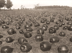 An old photo of a pumpkin patch.