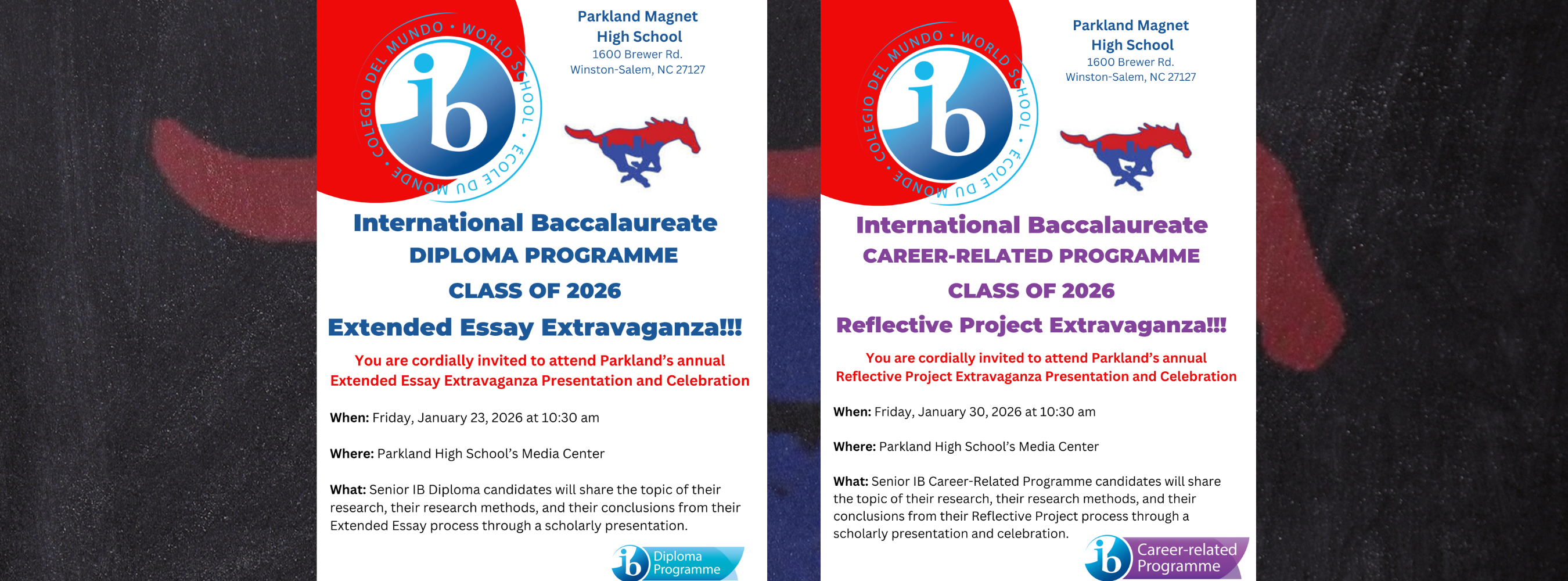 IB Extravaganza!