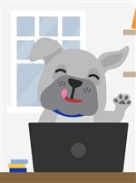 Bulldog using a computer