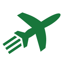 flight icon