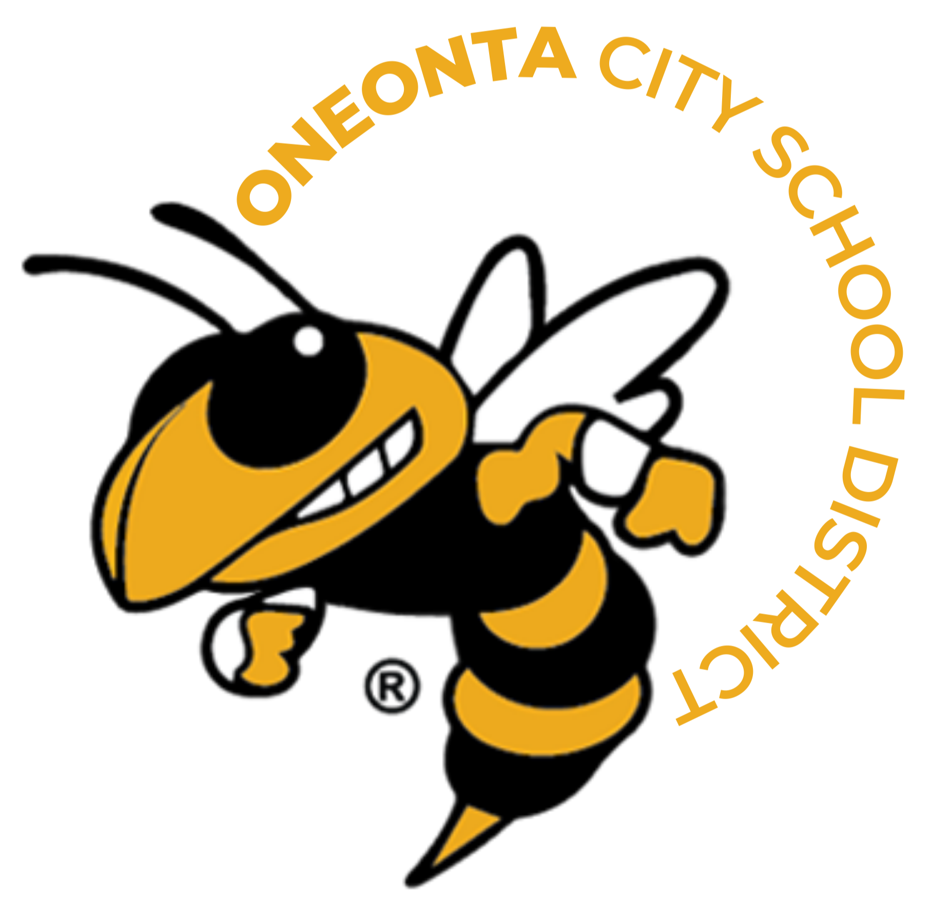 Tax Information Oneonta City School District