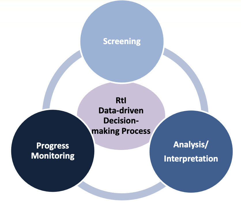 MTSS Process