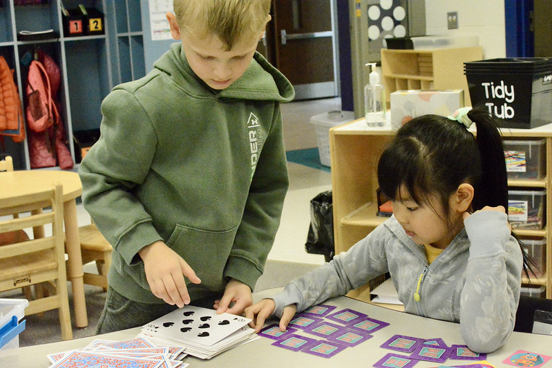 Students working with cards