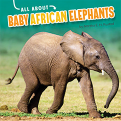 All About Baby African Elephants