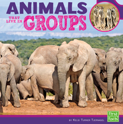 Animals That Live in Groups