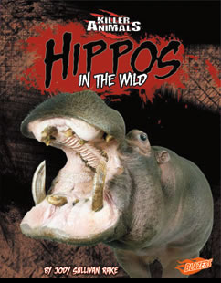 Hippos in the Wild