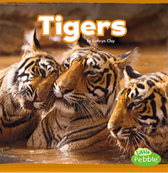 Tigers