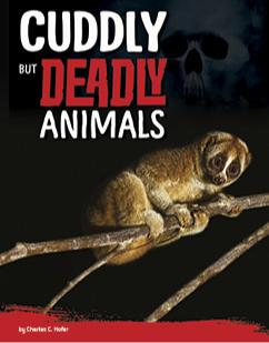 Cuddly But Deadly Animals