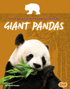 Giant Pandas