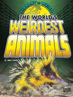 The World's Weirdest Animals