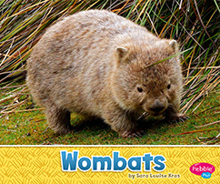 Wombats