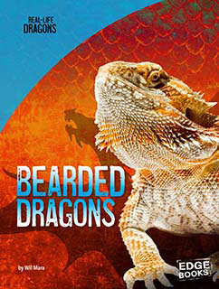 Bearded Dragons